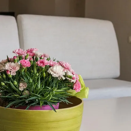 Borgo Albizi Penthouse - 360 Terrace View Διαμέρισμα Φλωρεντία