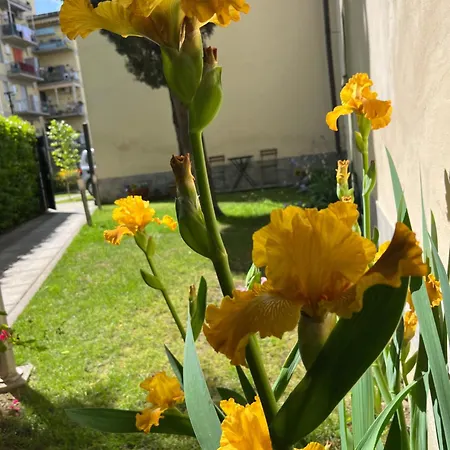 Appartement Dalu Lucilla - Private Car Park 15 Minutes To The Center Florence