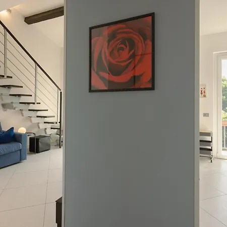 Your Family House In
