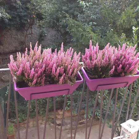 Appartement Casa Maron