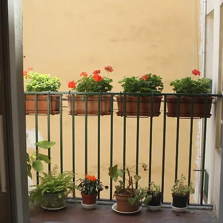 Mannolini Firenze