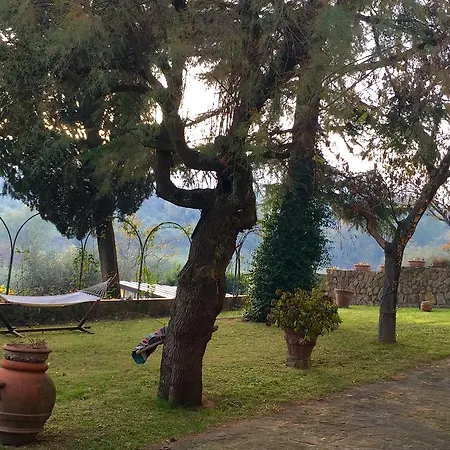 La Casa Di Piero Bed & Breakfast *
