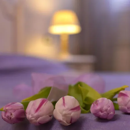 La Casa Dei Tintori 3* Floransa