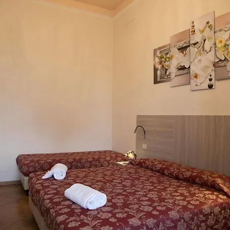 Lilium פירנצה