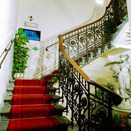 Accademia Hotel 3*