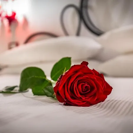 فندق مبيت وإفطار Homedo