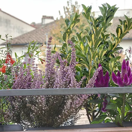 Dolce Firenze