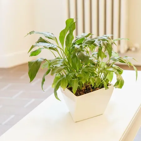 Apartment Ee Luxury *