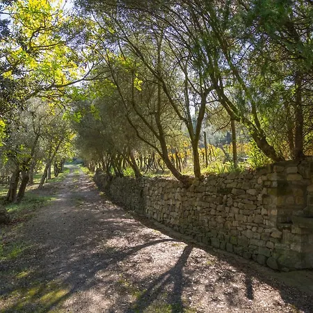 Casa Con Vista Su מלון דירות *