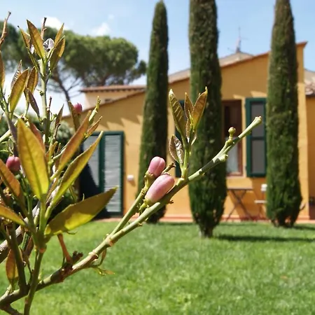 Al Canto Bed & Breakfast Florencie