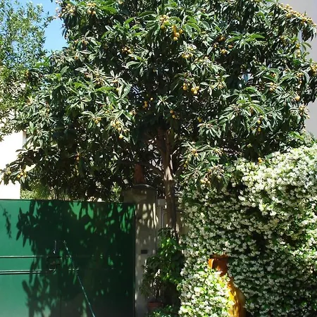 Appartamento Casa Del Gelsomino E Del Nespolo