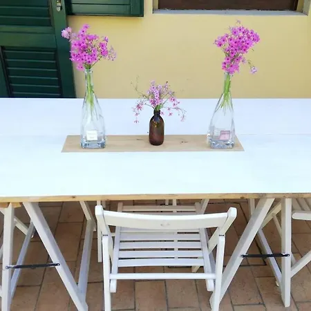 Appartamento Flower Garden Vicino Al Centro