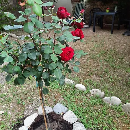 Au Jardin De *