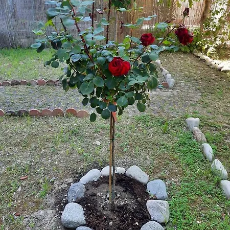 Apartment Au Jardin De *