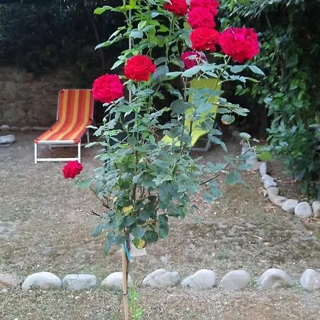 Au Jardin De Apartment Florence