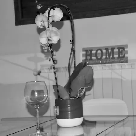 Brand New Apartamento Florencia