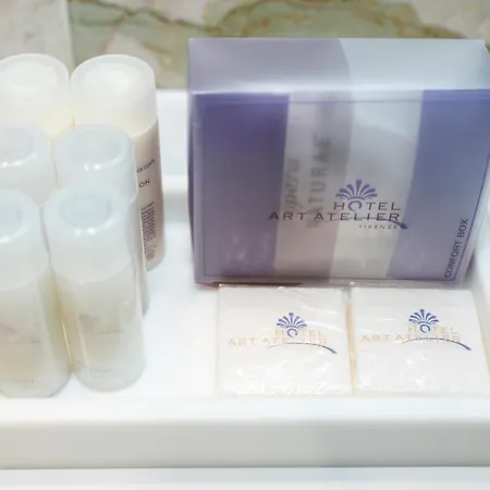 埃尔特尼艺术酒店 4* 佛罗伦萨