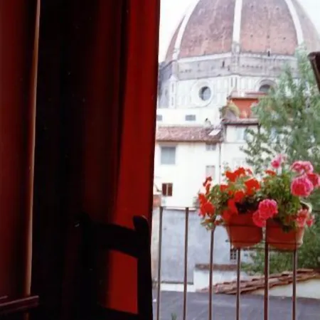 California Hotel 4*
