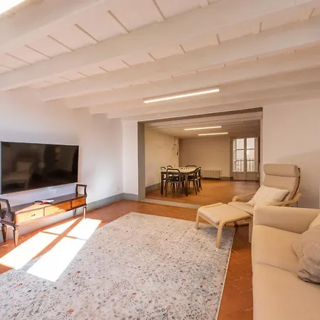 Apartment Santo Spirito View By Mmega *