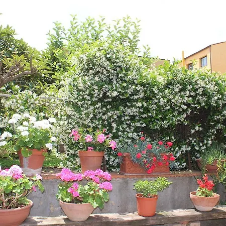 Casa Per Ferie Regina Santo Rosario Bed & Breakfast Firenze