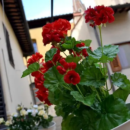 Vr Exclusive Apartment Florence