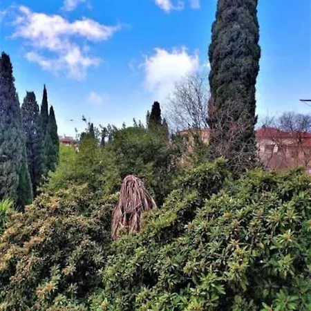 Casa Raffaello Careggi Apartment Florence