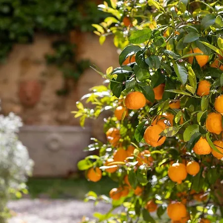 Secret Garden Bed & Breakfast Florence