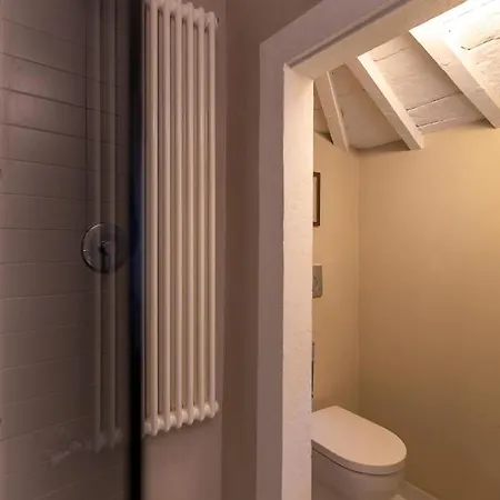 Apartment Loft In Santo Spirito Florence