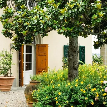 Il Pino