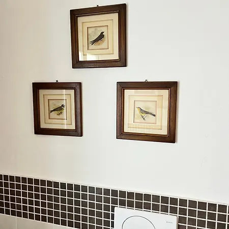 Apartment Casa Paradiso Florence