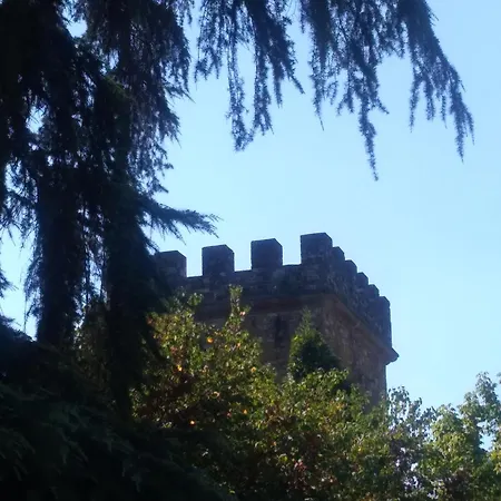 Movie Star With Garden Apartment Florence