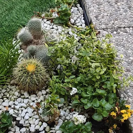 Apartment Movie Star With Garden Florence