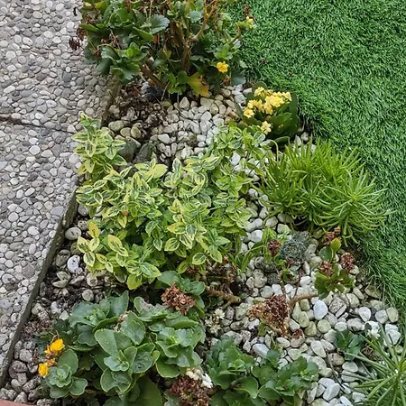 Apartment Movie Star With Garden Florence