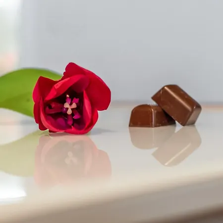 Apartment Chocolate