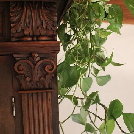 Pitti Loft Apartment *