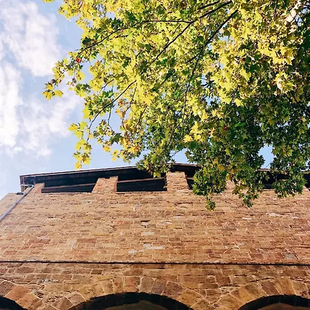 D'arte, L'oasi * Firenze