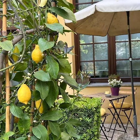 Apartment La Limonaia *