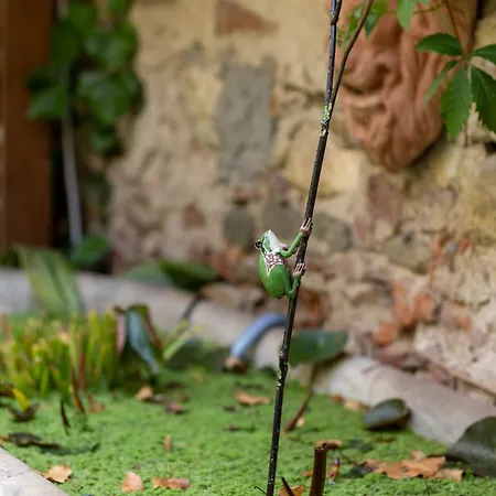 Secret Garden Bed & Breakfast Florence