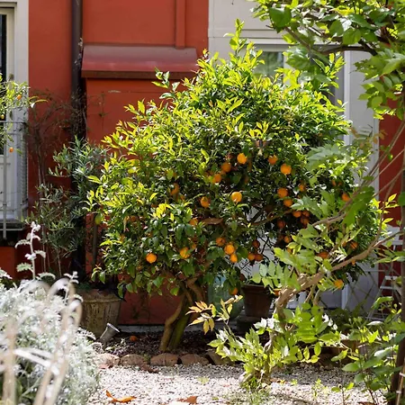 Secret Garden * Florence