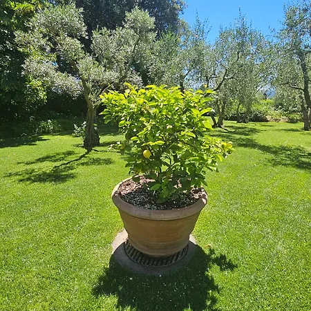 Il Pino Villa