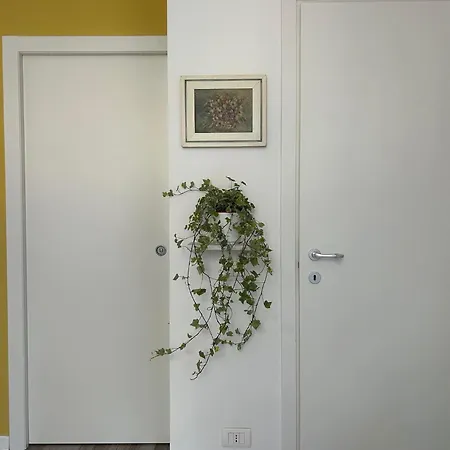 Πανσιόν Nature's Retreat *