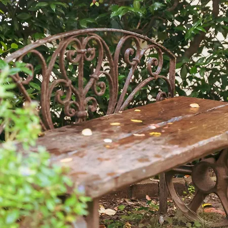 La Serra Sognante, Un Rifugio Incantevole Tra Natura E Relax Hébergement de vacances *