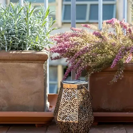 Verdi With Terrace *