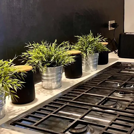 Apartamento Lusso A Con Palestra Florencia