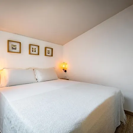 Apartment Yd Jana Florence