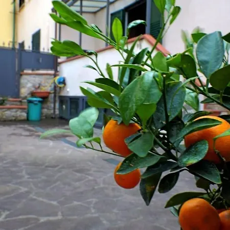 Casa Allegra Апартаменты Флоренция