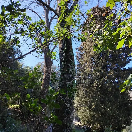 Turisti Nella Natura In Citta D'arte Camping