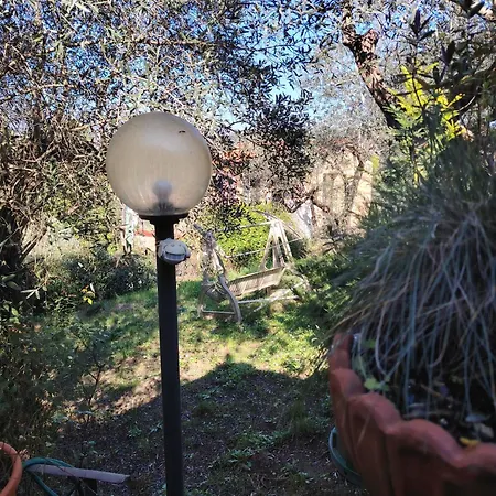 Turisti Nella Natura In Citta D'arte