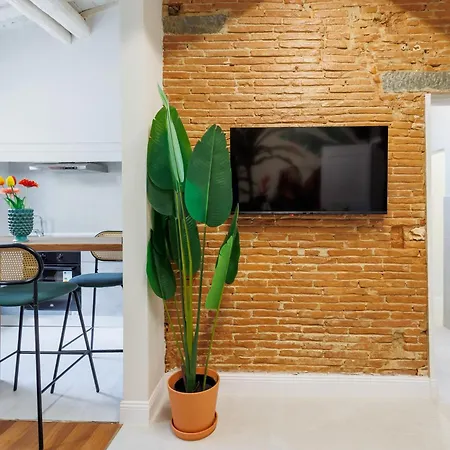 Appartamento Jungle Flat