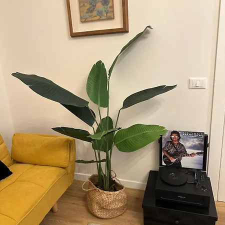 La Magnolia Apartment *